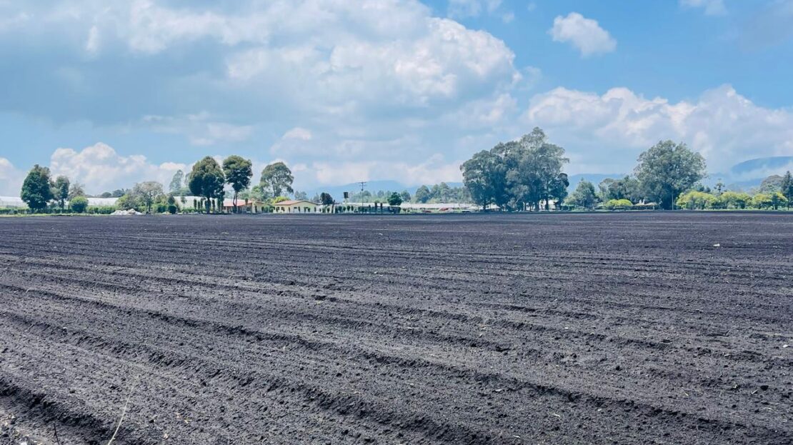 WhatsApp Image 2024 04 27 at 11.12.02 25