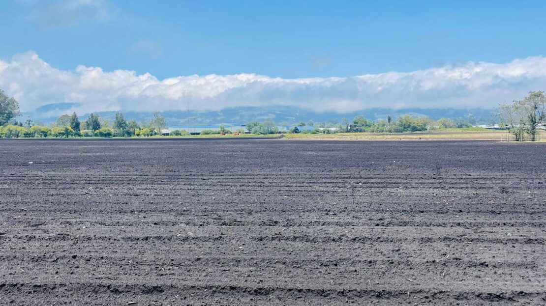 WhatsApp Image 2024 04 27 at 11.12.02 26