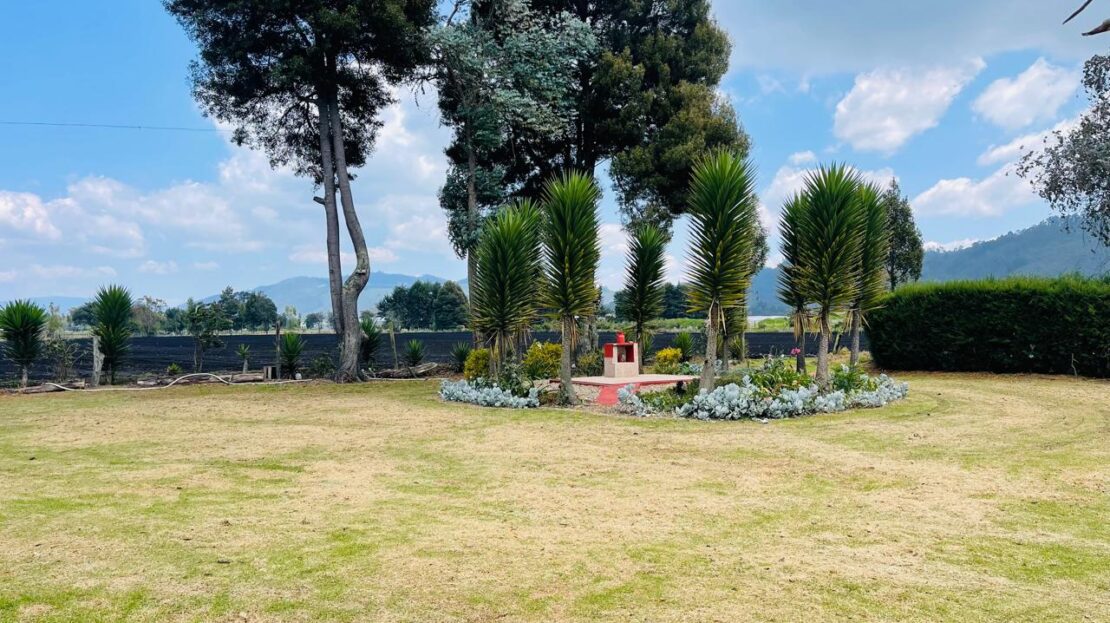 WhatsApp Image 2024 04 27 at 11.12.02 8