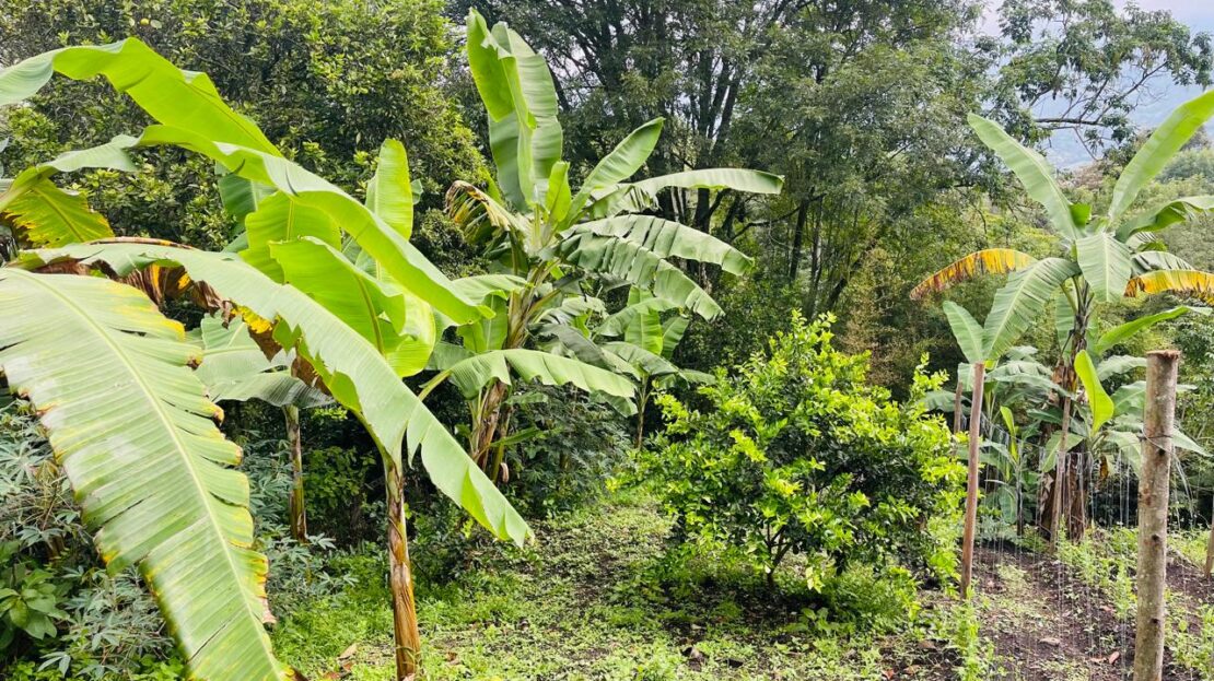 WhatsApp Image 2024 05 07 at 18.58.19 13