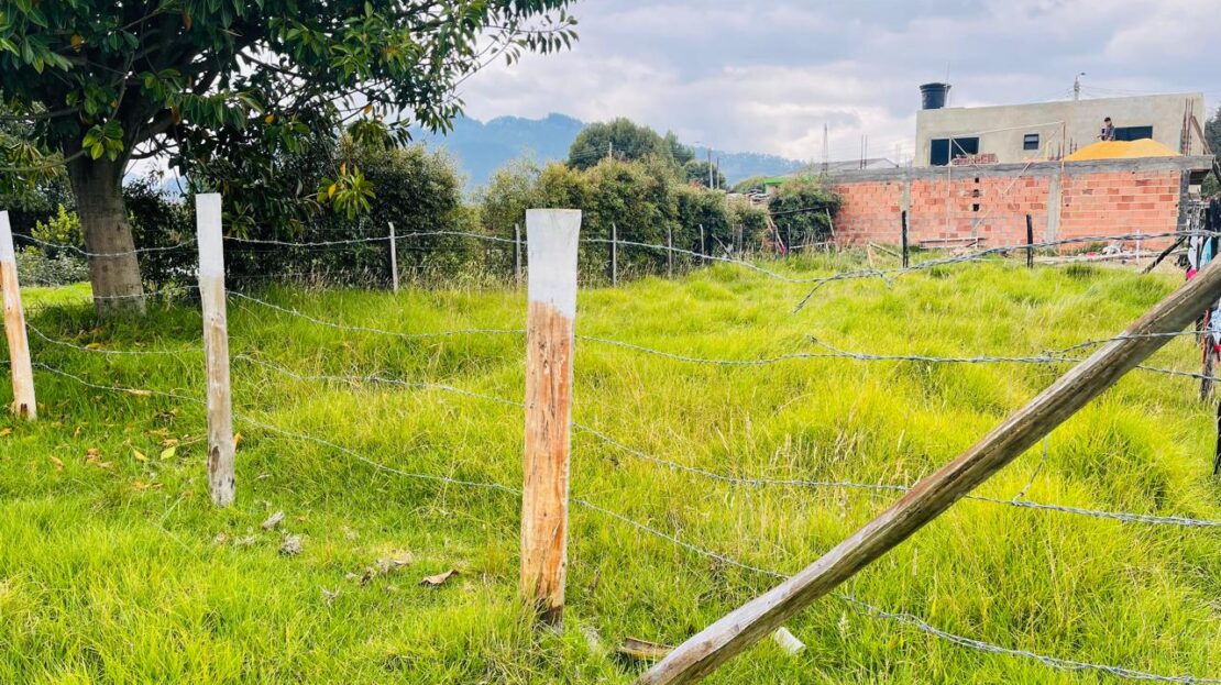 WhatsApp Image 2024 05 07 at 19.41.57 1