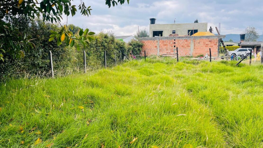 WhatsApp Image 2024 05 07 at 19.41.58 1