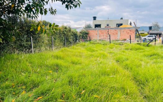 WhatsApp Image 2024 05 07 at 19.41.58 1