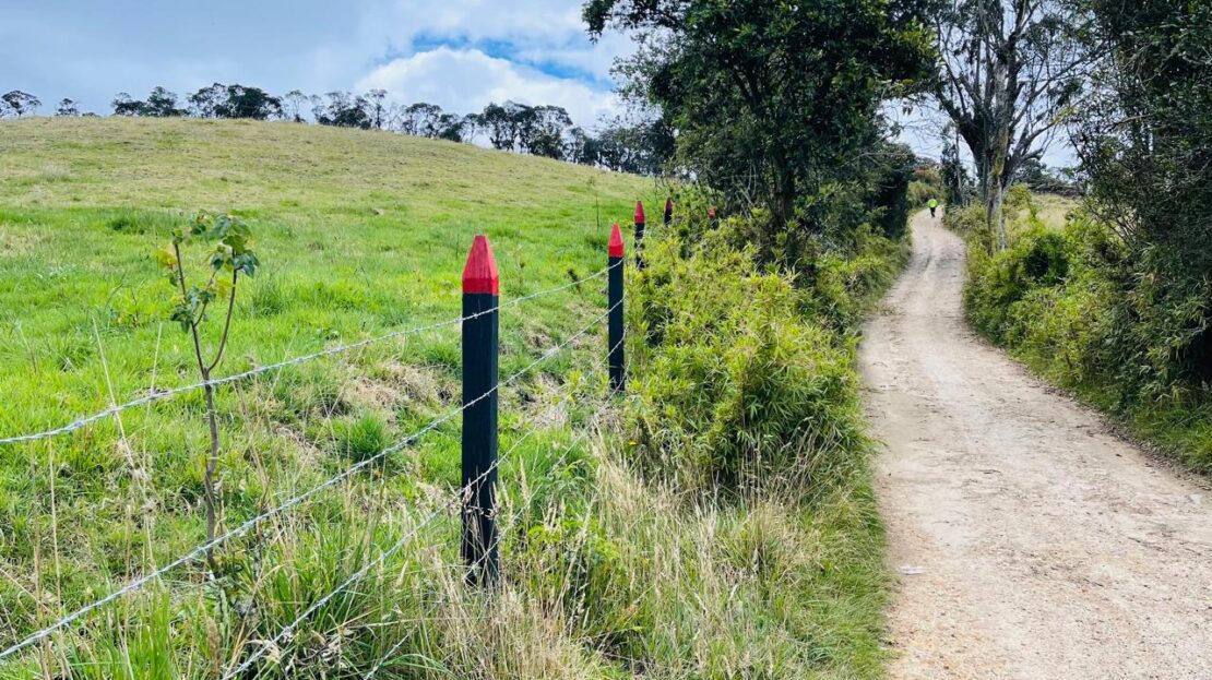 WhatsApp Image 2024 05 17 at 11.40.51 15