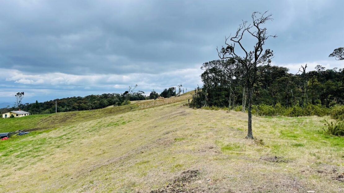 WhatsApp Image 2024 05 17 at 11.40.51 4