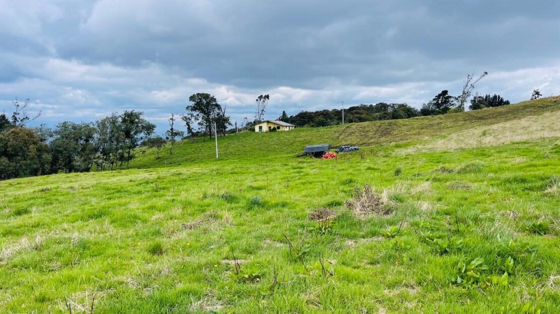 WhatsApp Image 2024 05 17 at 11.40.51 5