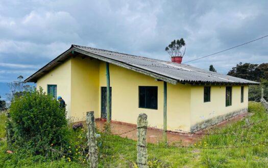 WhatsApp Image 2024 05 17 at 11.40.51 9