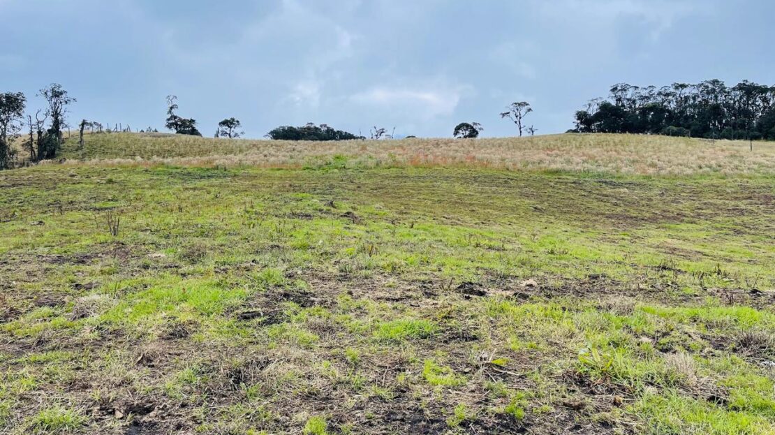 WhatsApp Image 2024 05 17 at 12.25.35 1