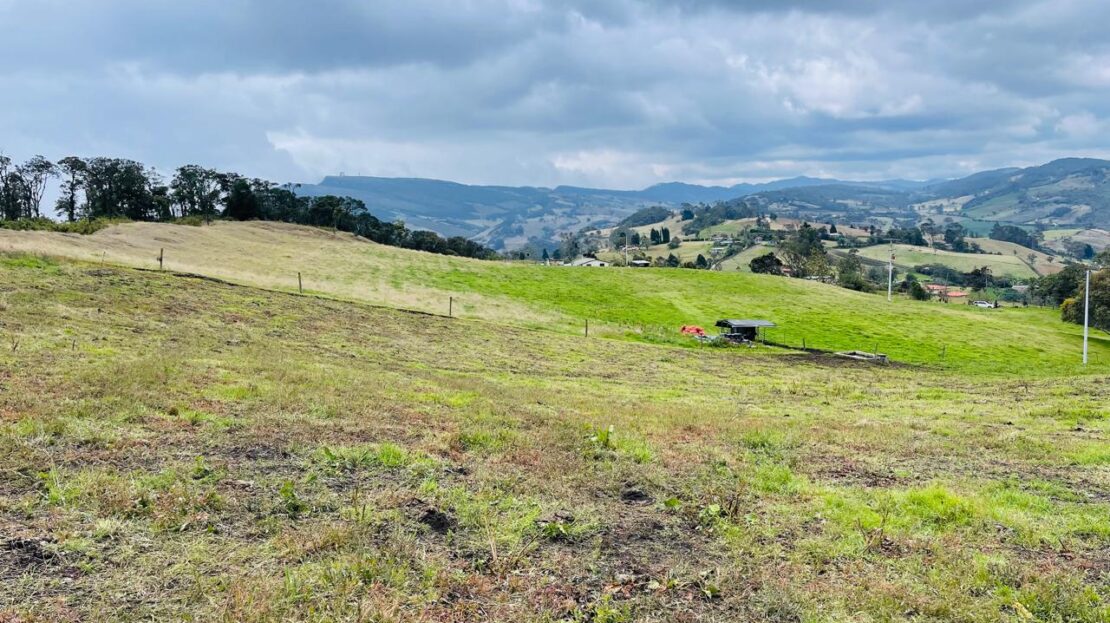 WhatsApp Image 2024 05 17 at 12.25.35 2