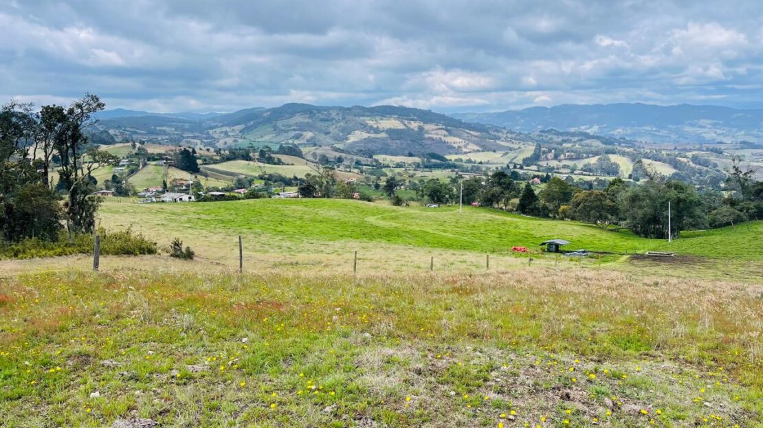 WhatsApp Image 2024 05 17 at 12.25.35 5