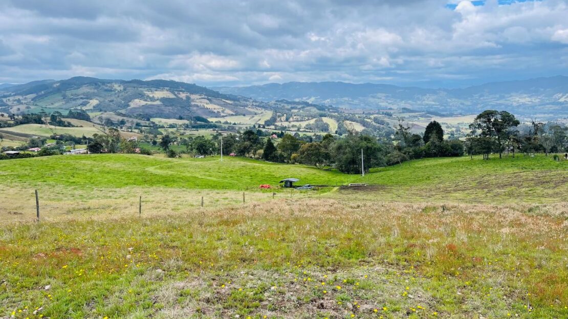 WhatsApp Image 2024 05 17 at 12.25.37 3