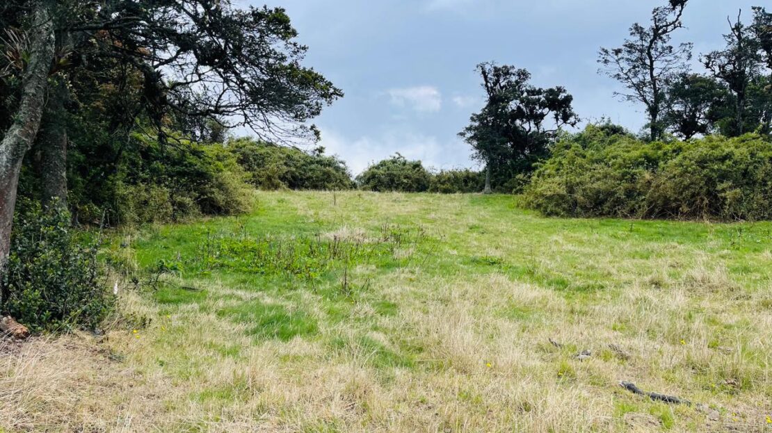 WhatsApp Image 2024 05 17 at 12.25.37 4