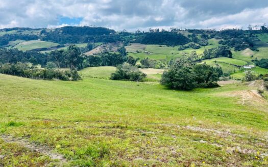 WhatsApp Image 2024 06 17 at 15.05.27 4