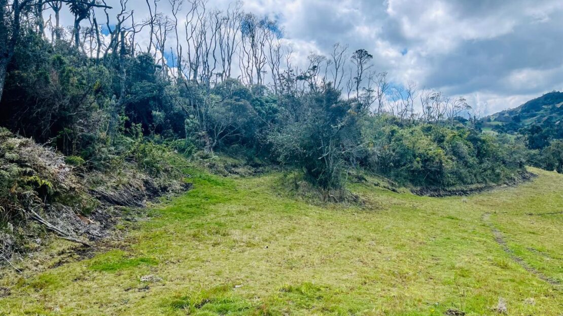 WhatsApp Image 2024 06 17 at 15.05.27 5