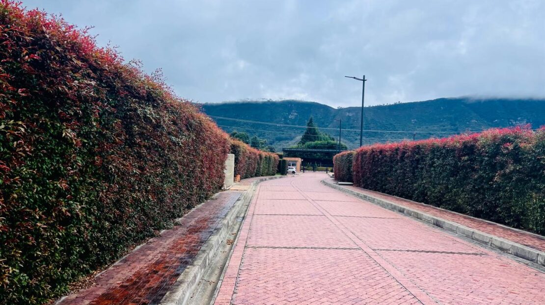 WhatsApp Image 2024 06 17 at 16.09.32 14