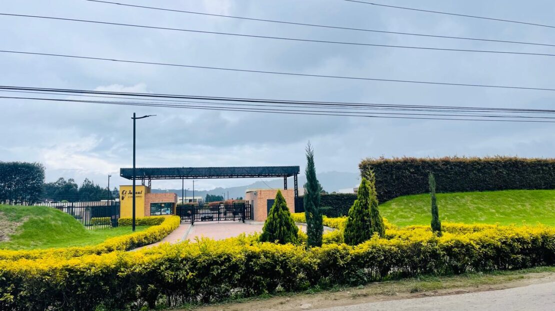 WhatsApp Image 2024 06 17 at 16.09.32 18