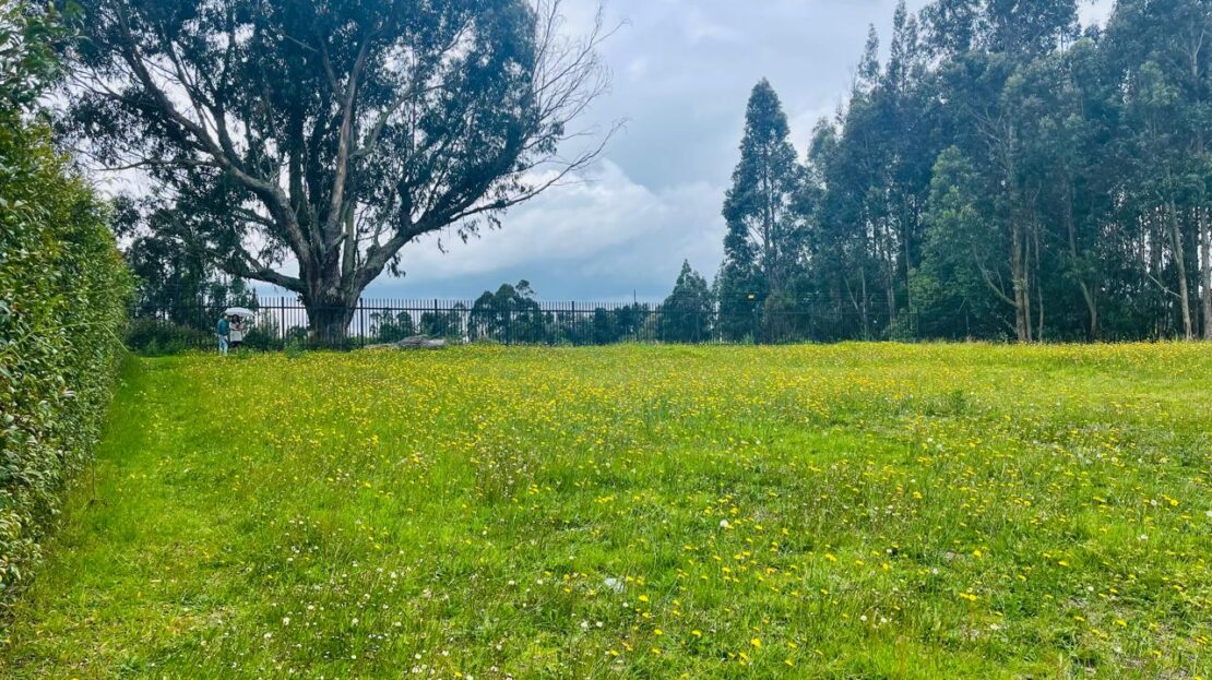 WhatsApp Image 2024 06 17 at 16.09.32 2