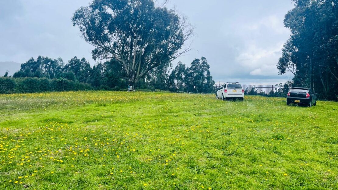 WhatsApp Image 2024 06 17 at 16.09.32 8