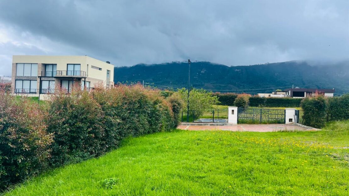 WhatsApp Image 2024 06 17 at 16.09.32 9