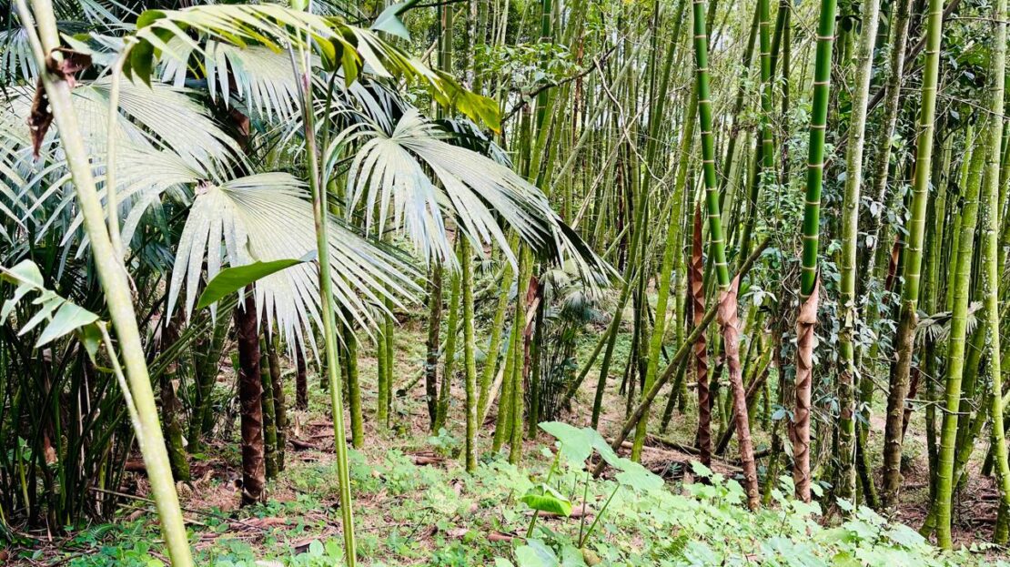 WhatsApp Image 2024 07 22 at 22.27.51