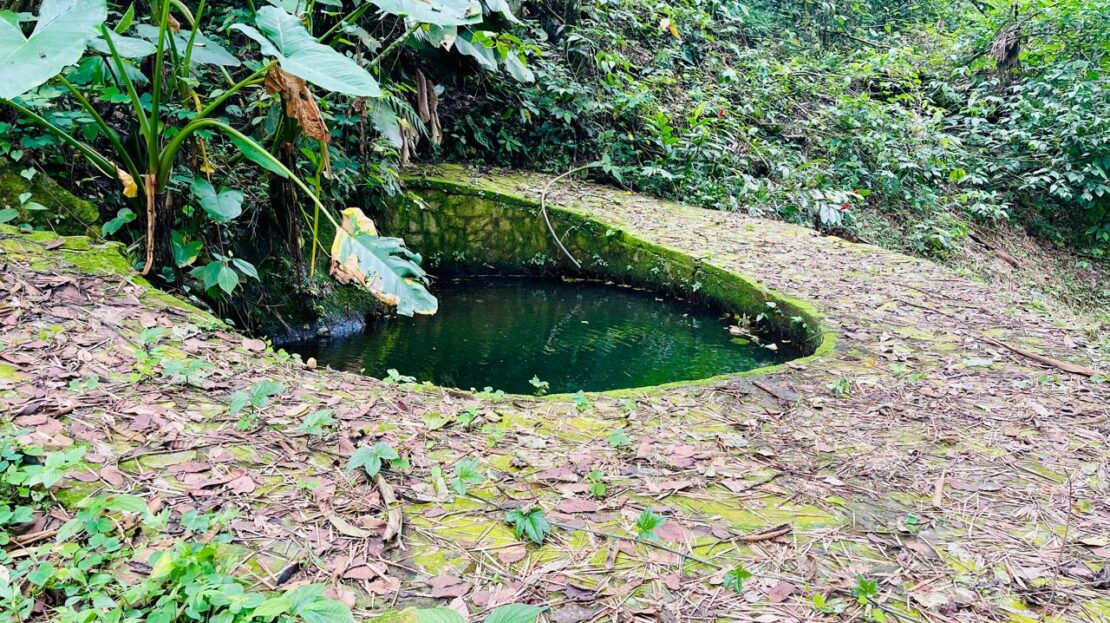 WhatsApp Image 2024 07 22 at 22.27.53 1