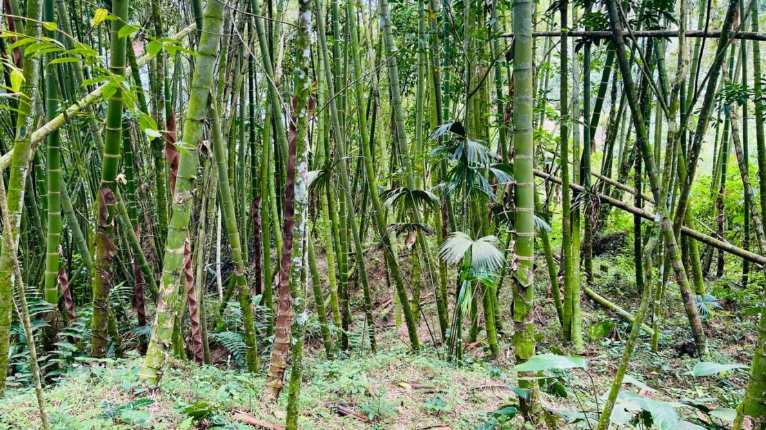 WhatsApp Image 2024 07 22 at 22.27.55 1