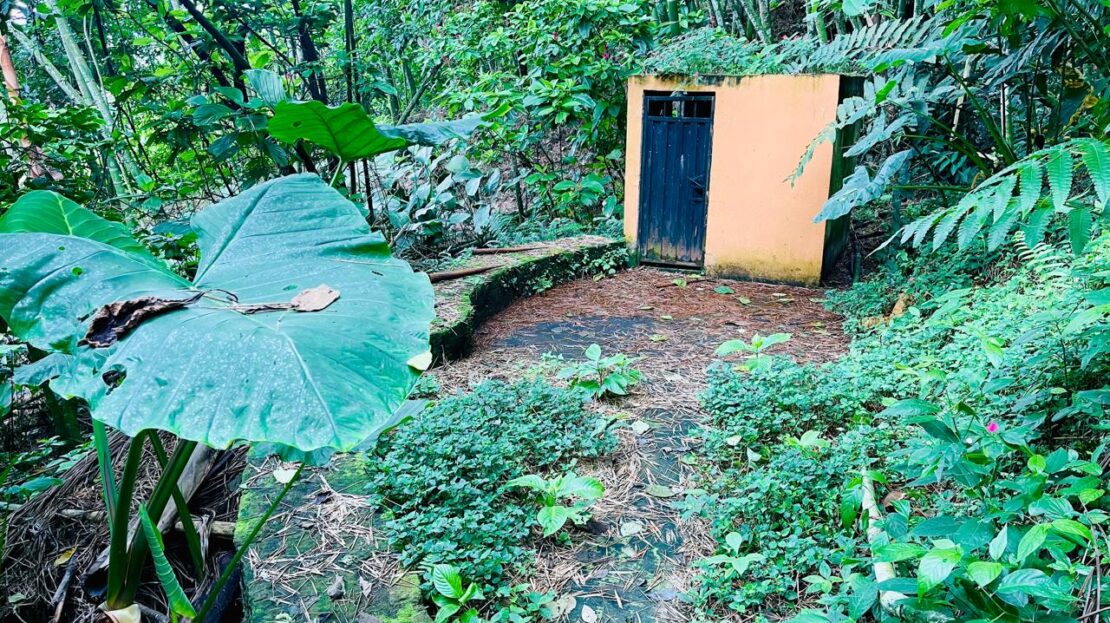 WhatsApp Image 2024 07 22 at 22.27.55 2