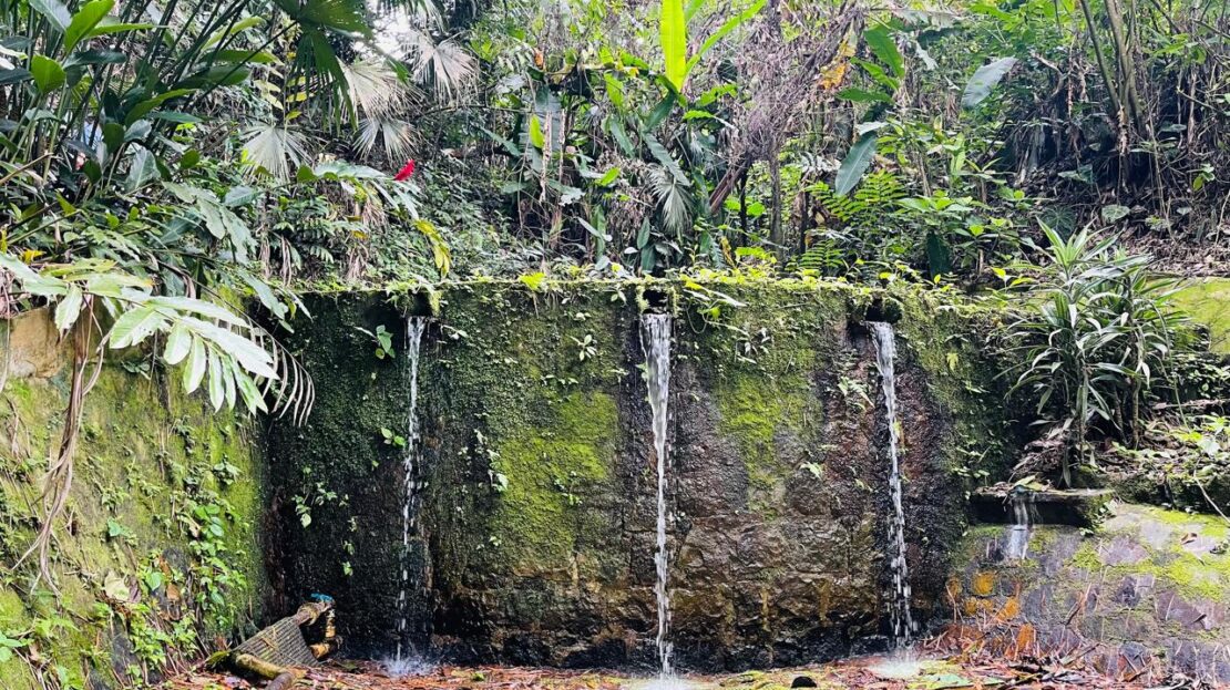 WhatsApp Image 2024 07 22 at 22.27.55 4