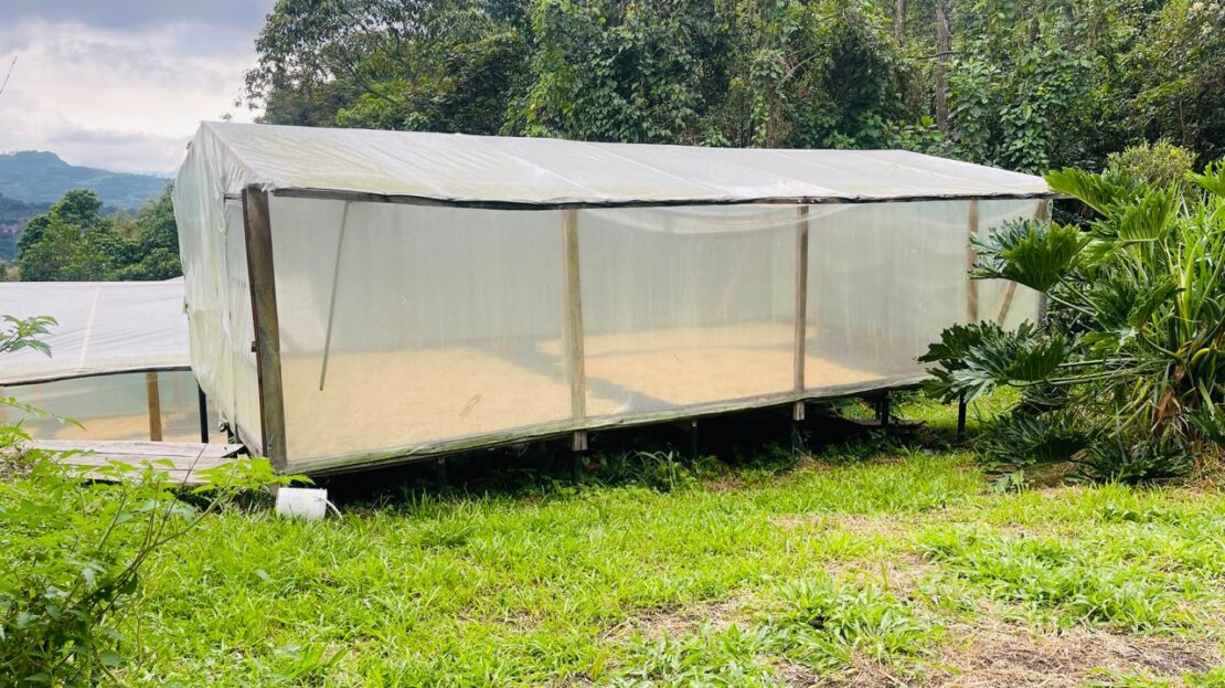 WhatsApp Image 2024 07 22 at 22.27.56 4