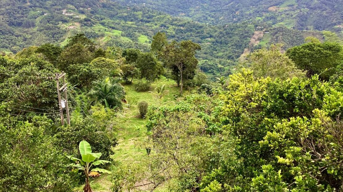 WhatsApp Image 2024 07 22 at 22.28.26 20