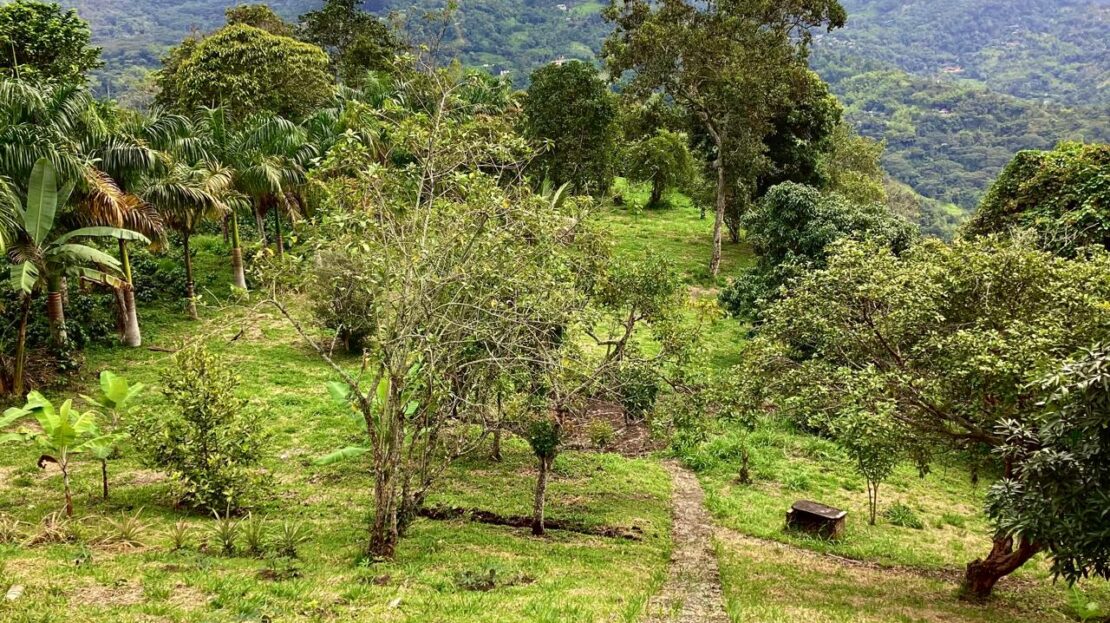 WhatsApp Image 2024 07 22 at 22.28.57 12