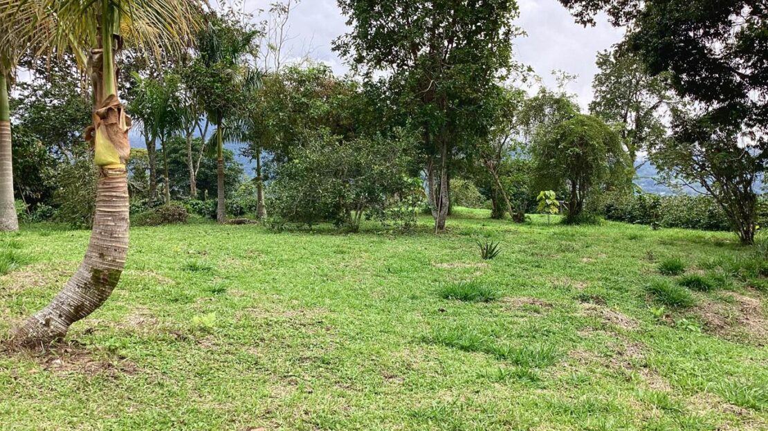 WhatsApp Image 2024 07 22 at 22.28.57 15