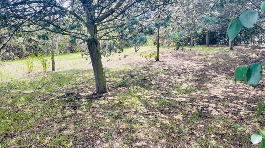 WhatsApp Image 2024 08 18 at 20.31.03 2