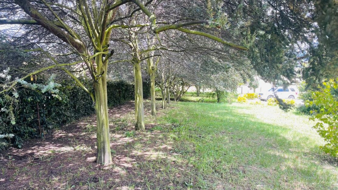 WhatsApp Image 2024 08 18 at 20.31.04 2