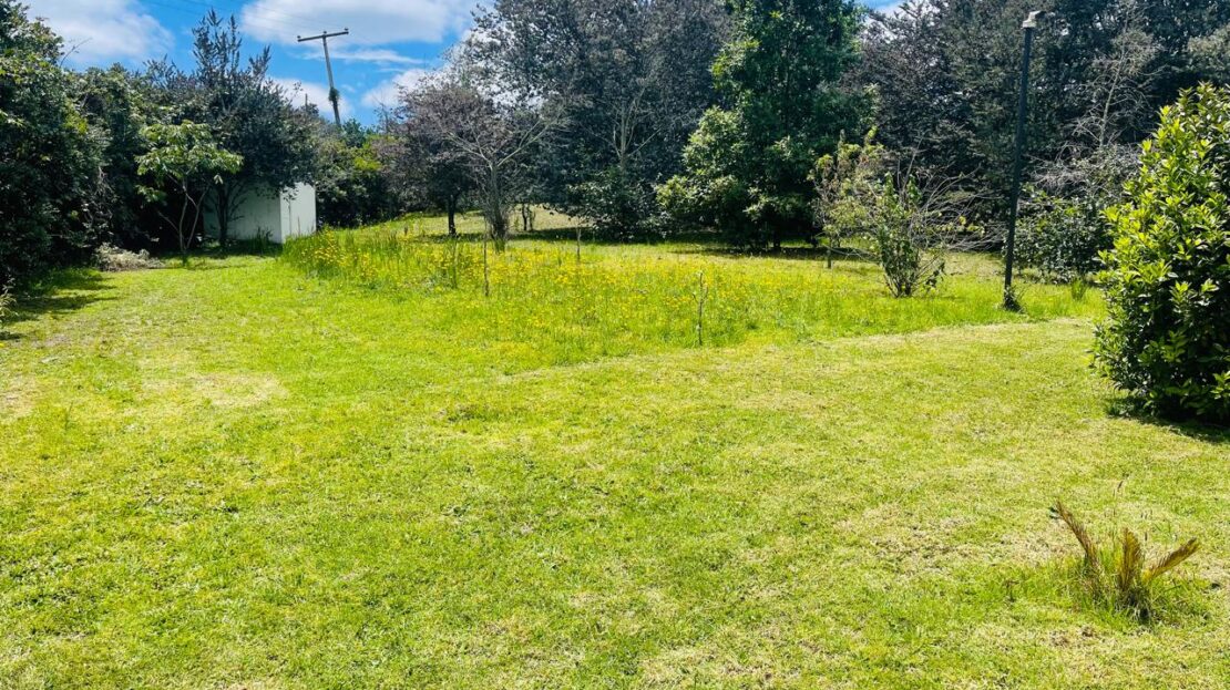 WhatsApp Image 2024 08 18 at 20.31.05 3