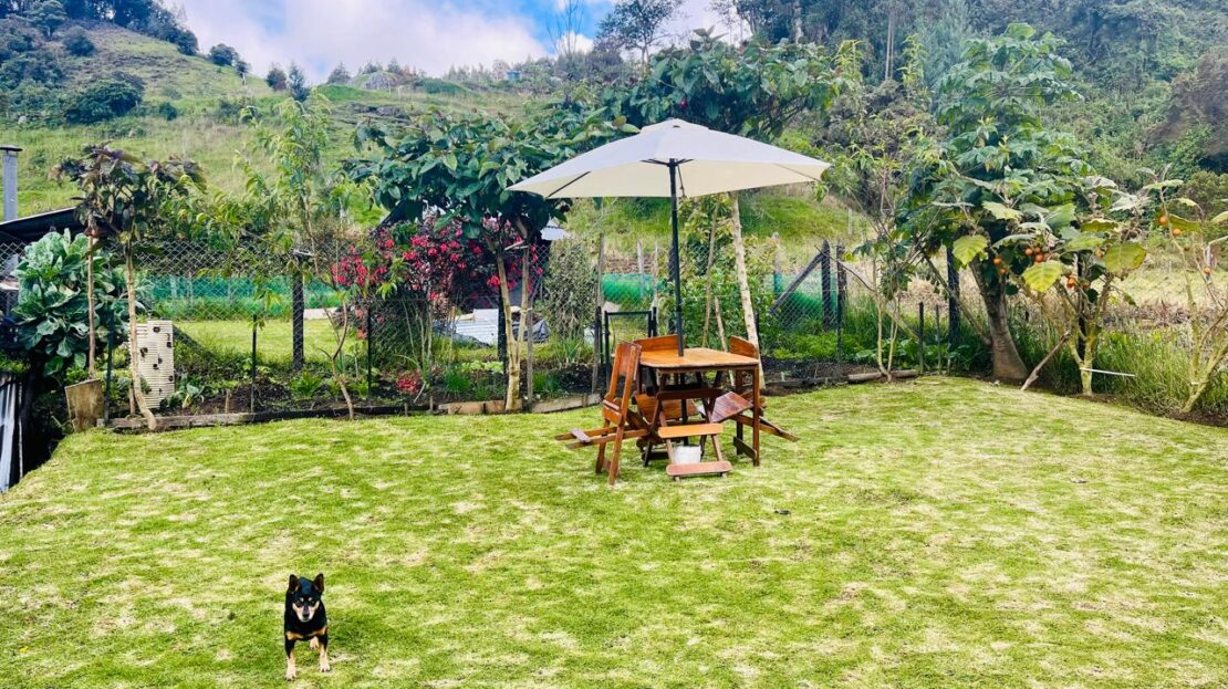 WhatsApp Image 2024 08 23 at 13.08.23 5