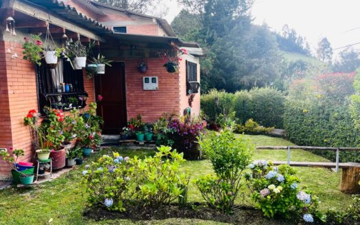 WhatsApp Image 2024 08 23 at 13.08.23