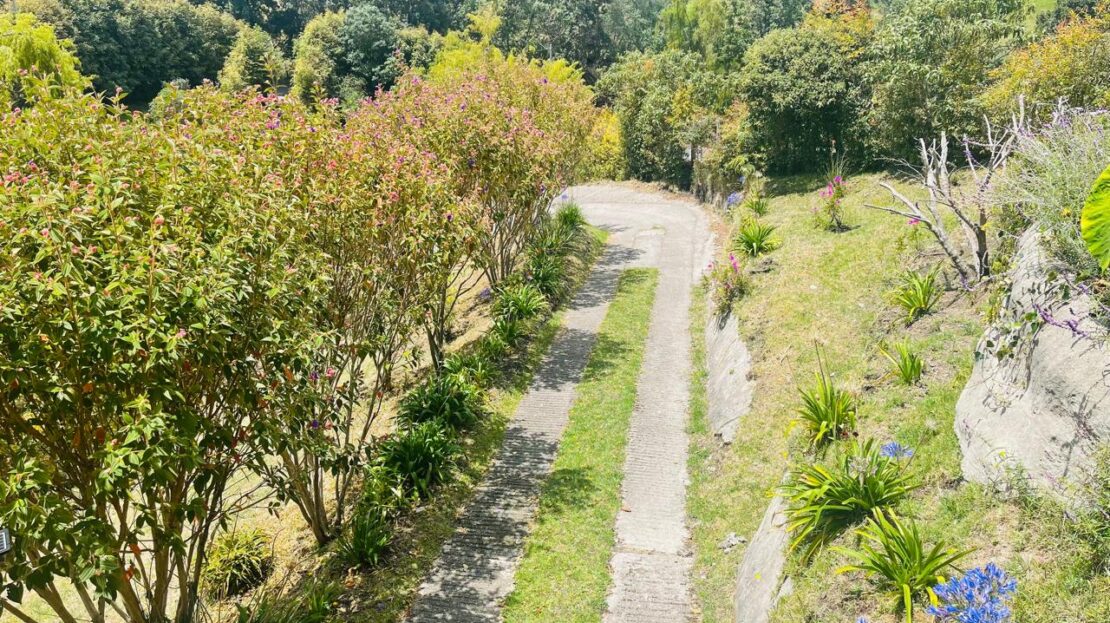 WhatsApp Image 2024 08 24 at 1.13.23 PM 2