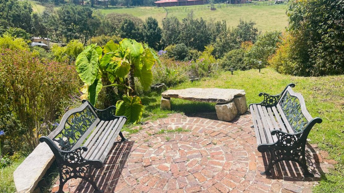 WhatsApp Image 2024 08 24 at 1.13.25 PM 1