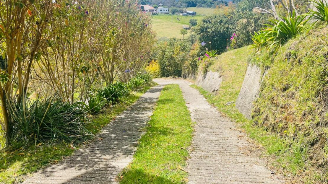 WhatsApp Image 2024 08 24 at 1.13.26 PM