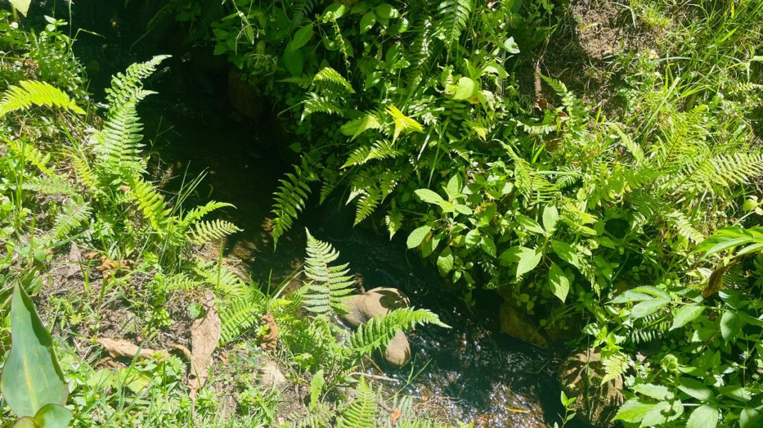 WhatsApp Image 2024 08 24 at 1.13.27 PM 1