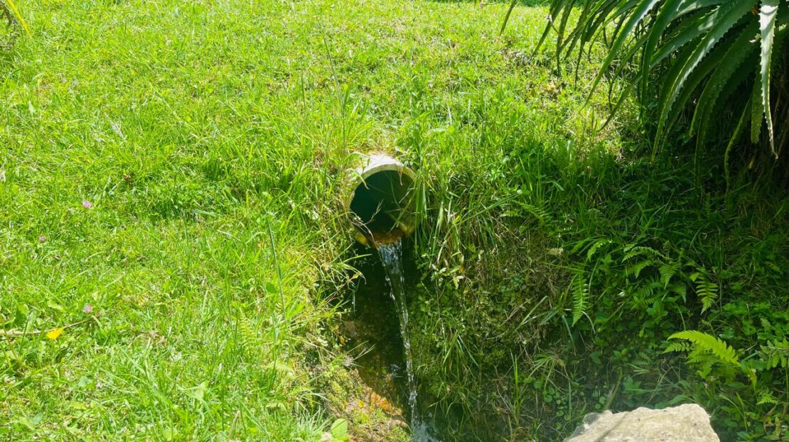 WhatsApp Image 2024 08 24 at 1.13.28 PM