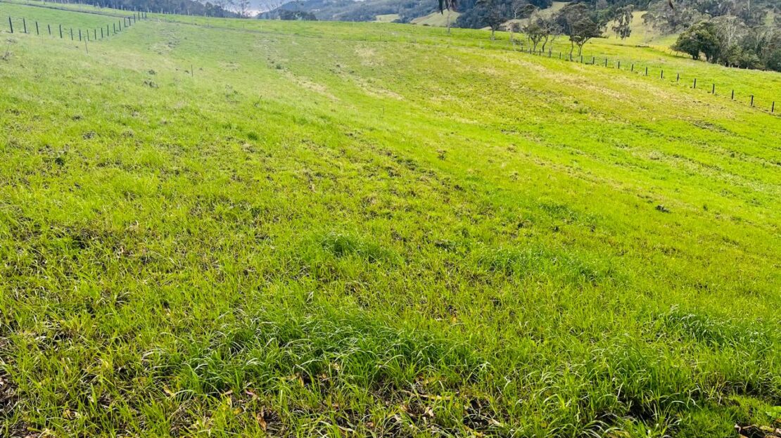 WhatsApp Image 2024 08 28 at 12.40.46