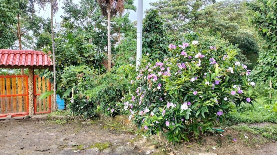 WhatsApp Image 2024 09 24 at 13.24.17