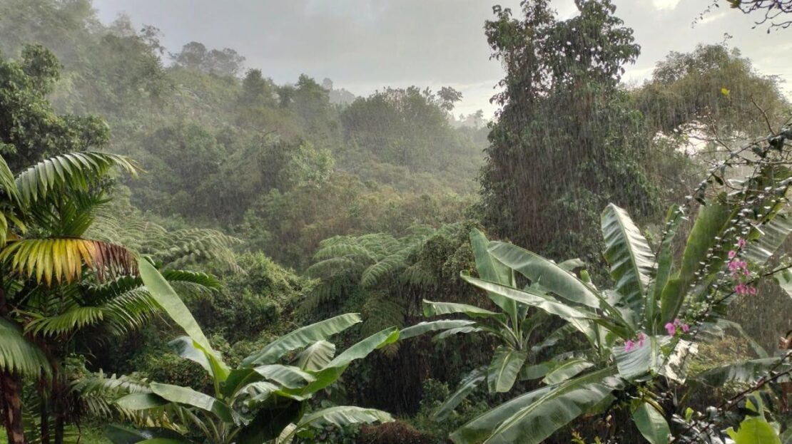 WhatsApp Image 2024 09 24 at 13.24.24