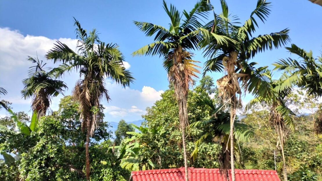 WhatsApp Image 2024 09 24 at 13.24.26 1