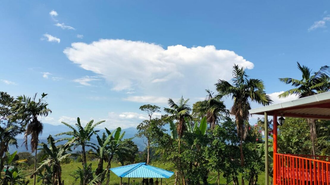 WhatsApp Image 2024 09 24 at 13.24.26 2