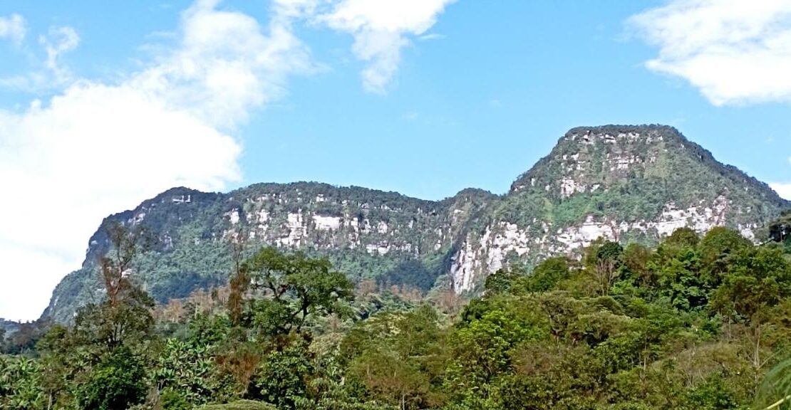 WhatsApp Image 2024 09 24 at 13.24.30 2