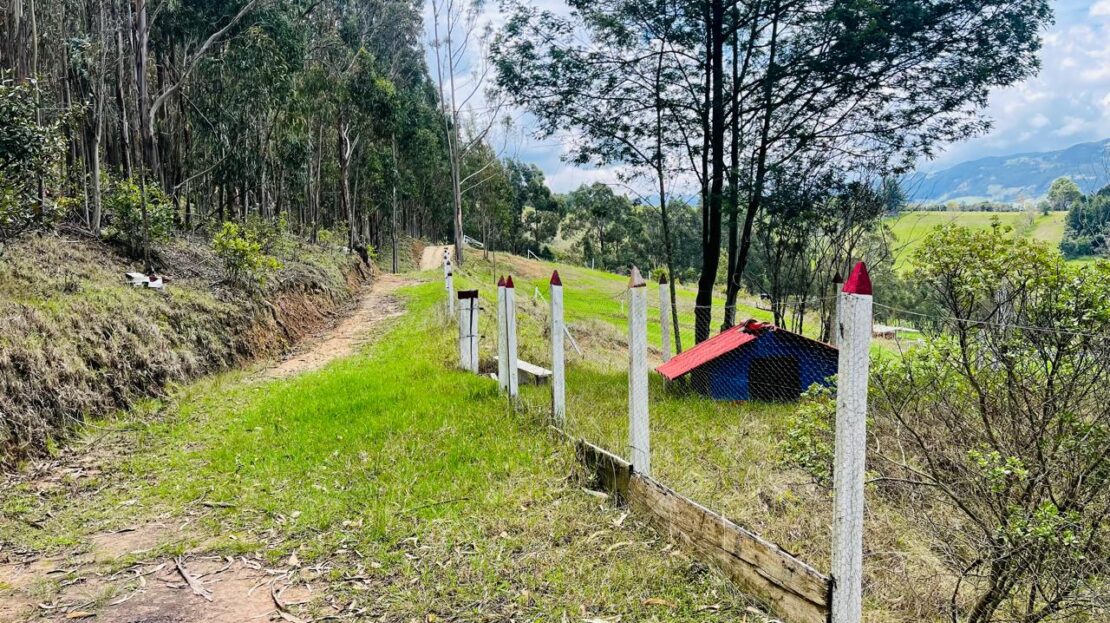 WhatsApp Image 2024 08 28 at 12.46.57 2