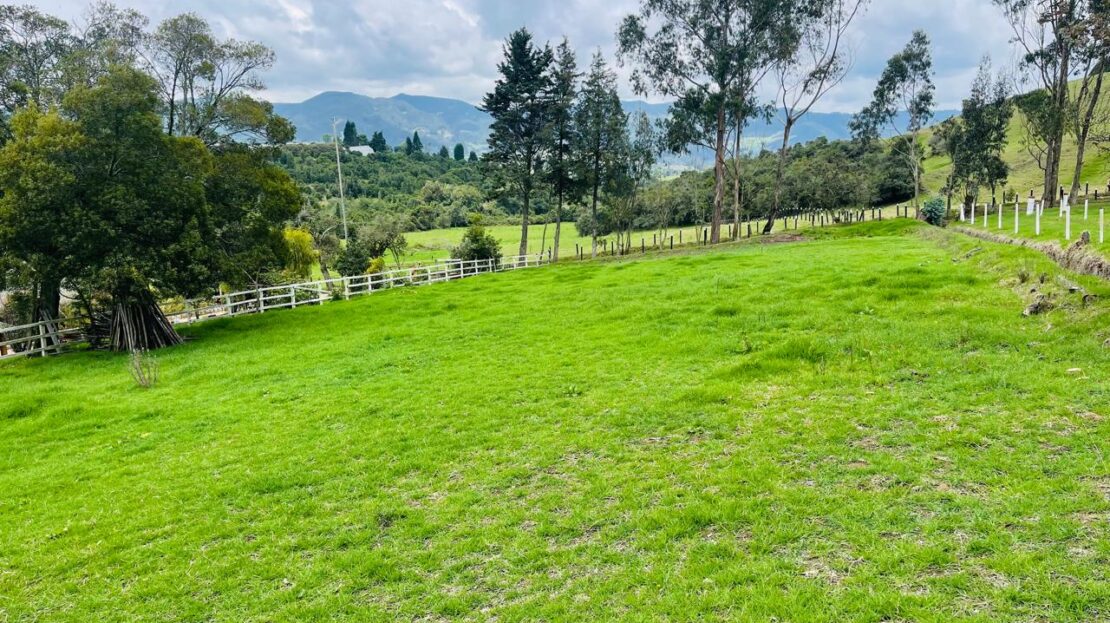 WhatsApp Image 2024 08 28 at 12.47.00